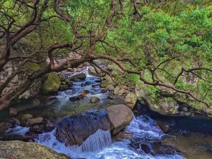 Natural Bathing Spots