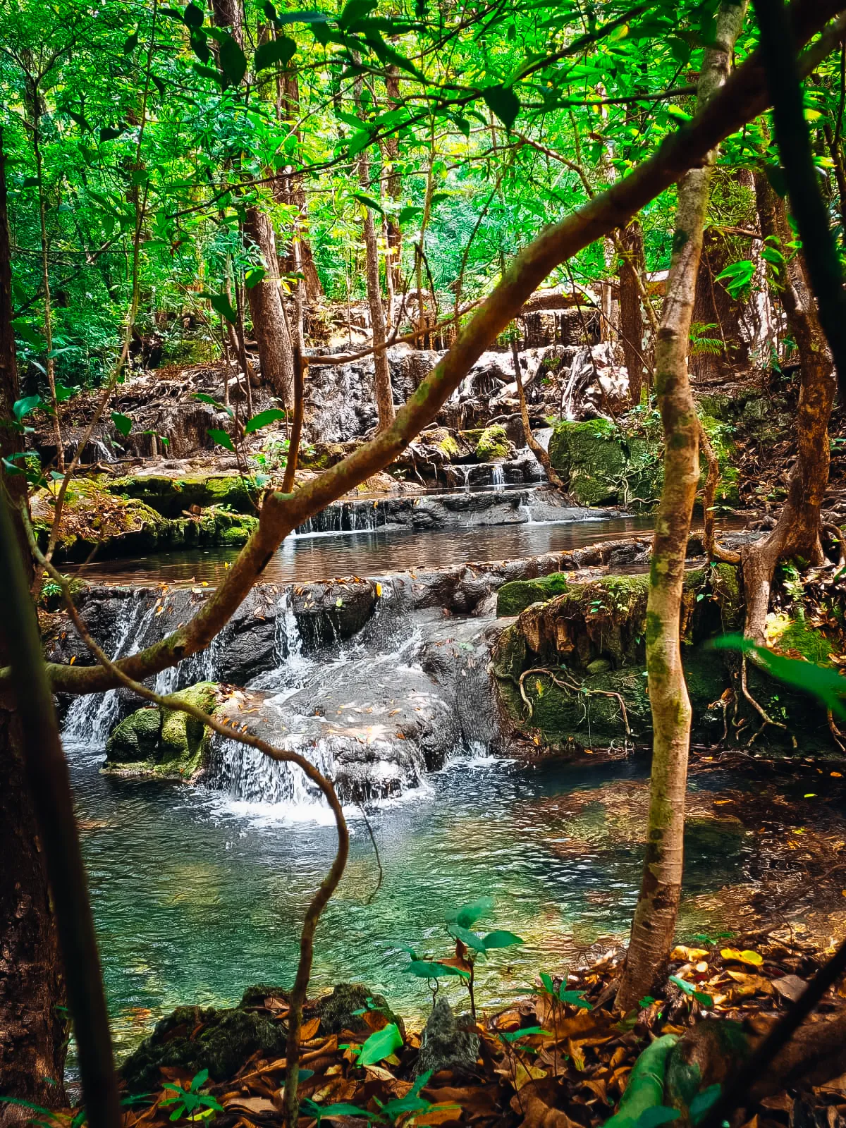 cascading-waterfall-in-lush-forest-belihuloya