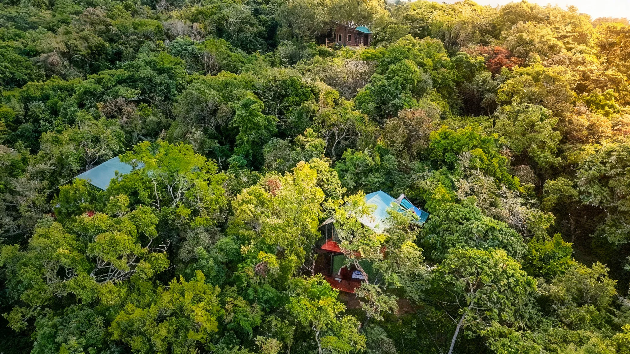aerial-view-glamping-tents-forest-canopy-belihuloya