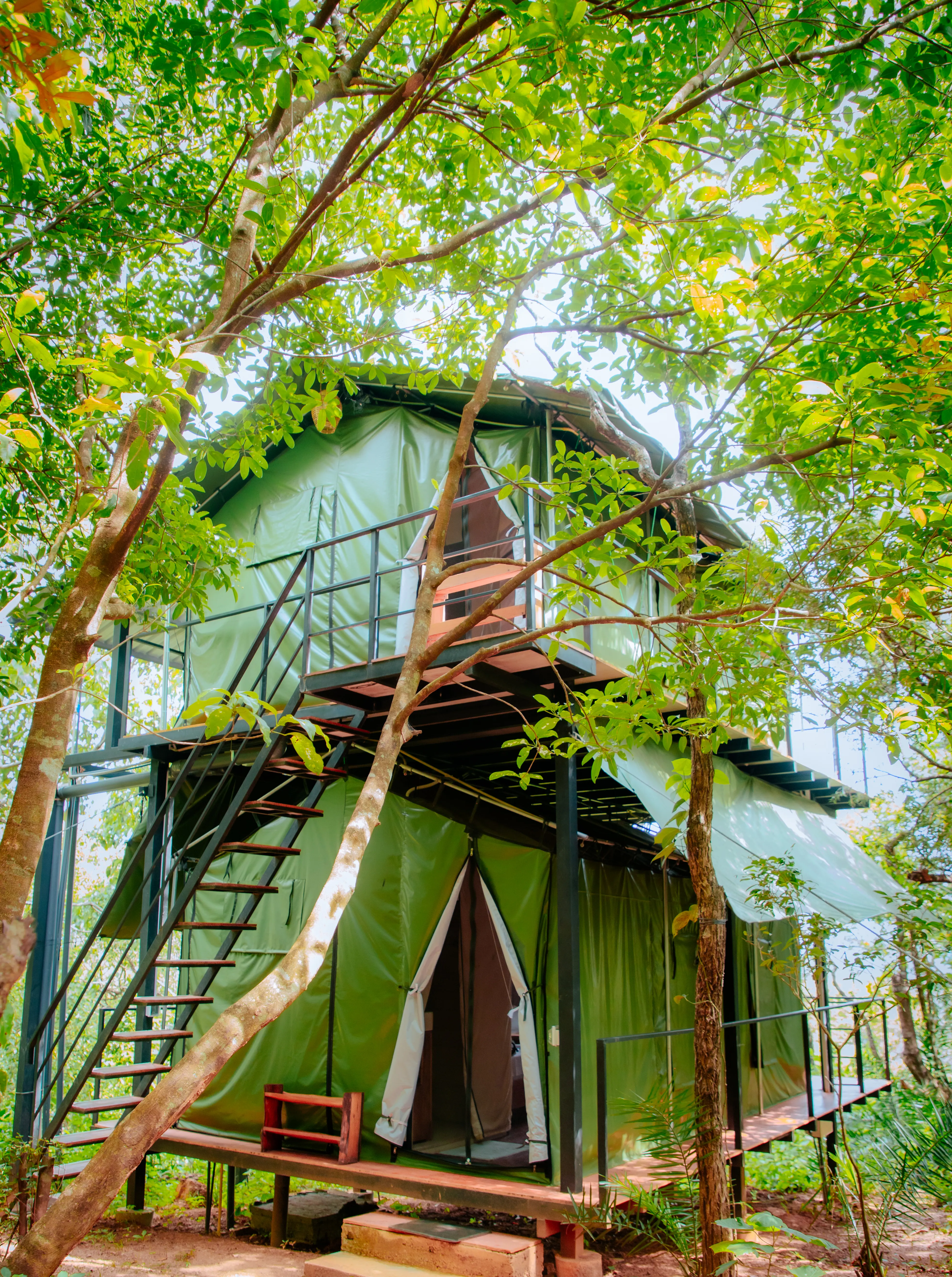 eco-glamping-tent-forest-exterior