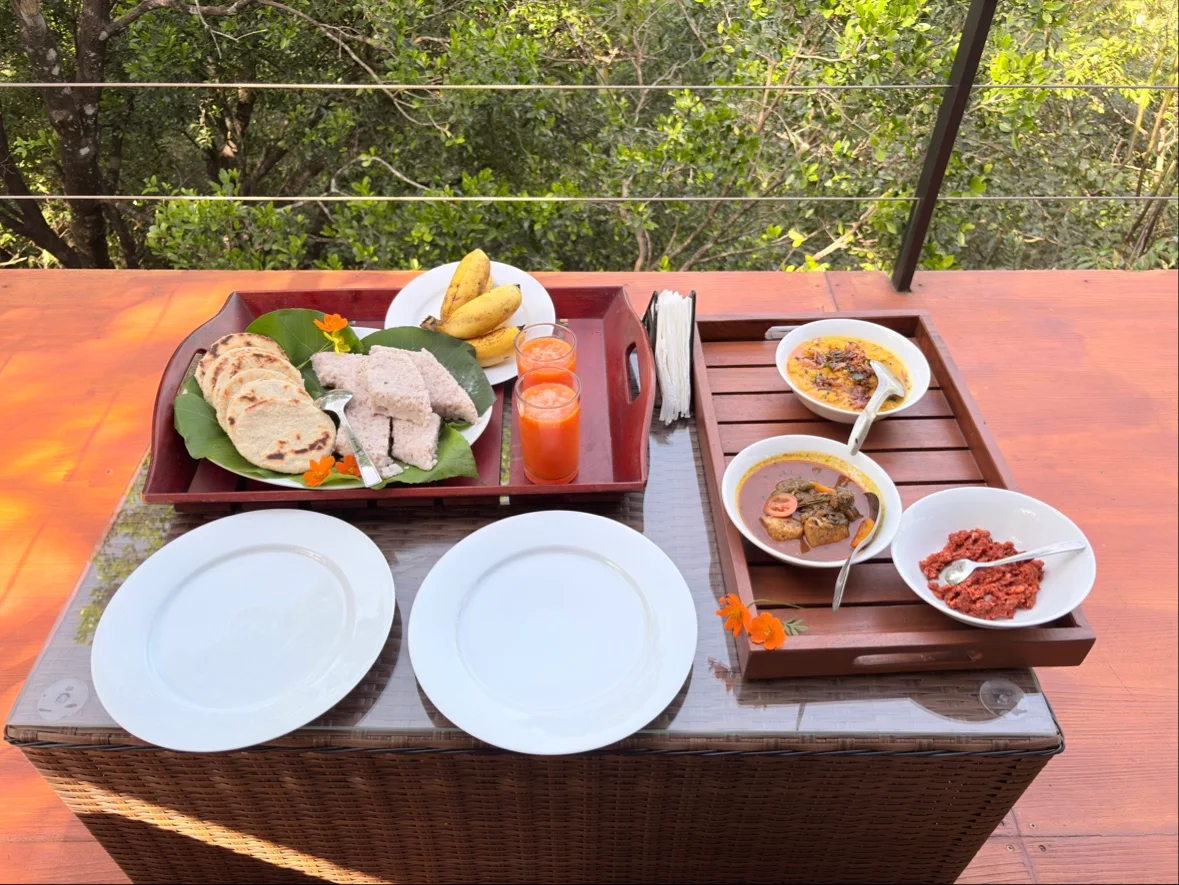 sri-lankan-breakfast-balcony-view