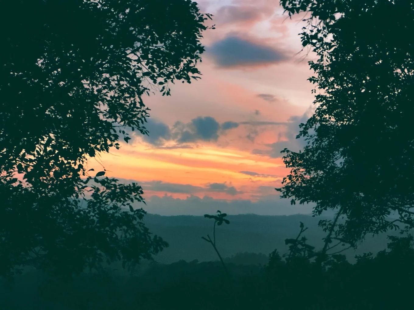 belihuloya-sunset-through-trees