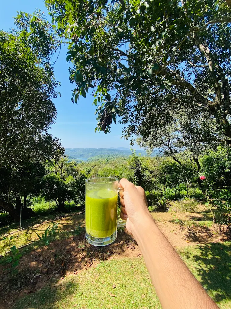 fresh-green-juice-mountain-view