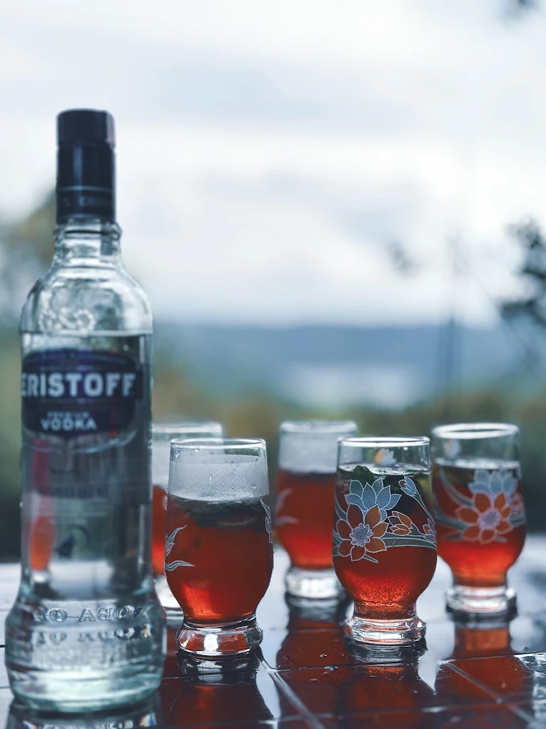 evening-drinks-vodka-mountain-view