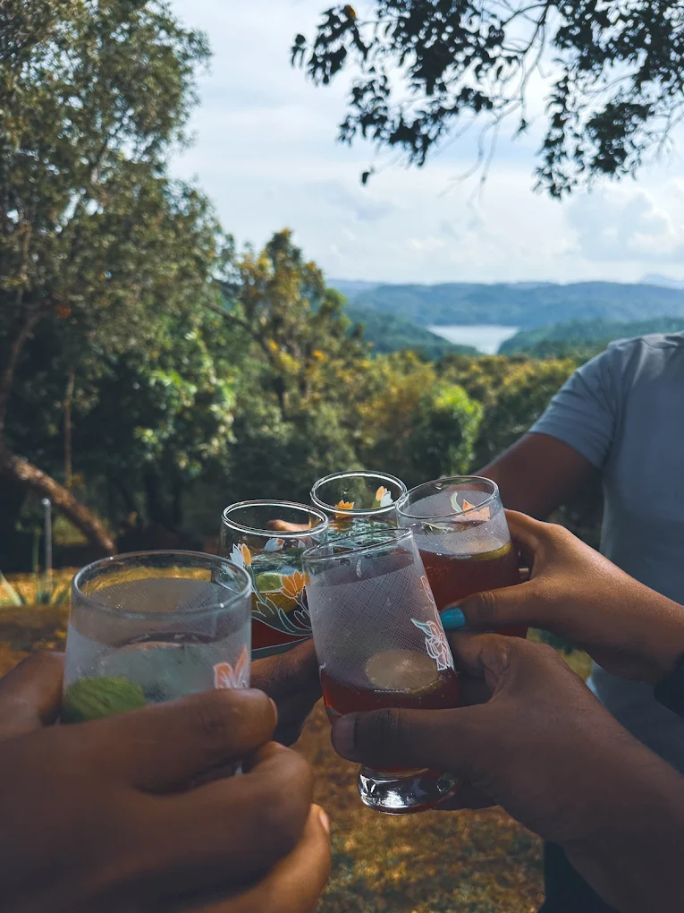cheers-drinks-mountain-view