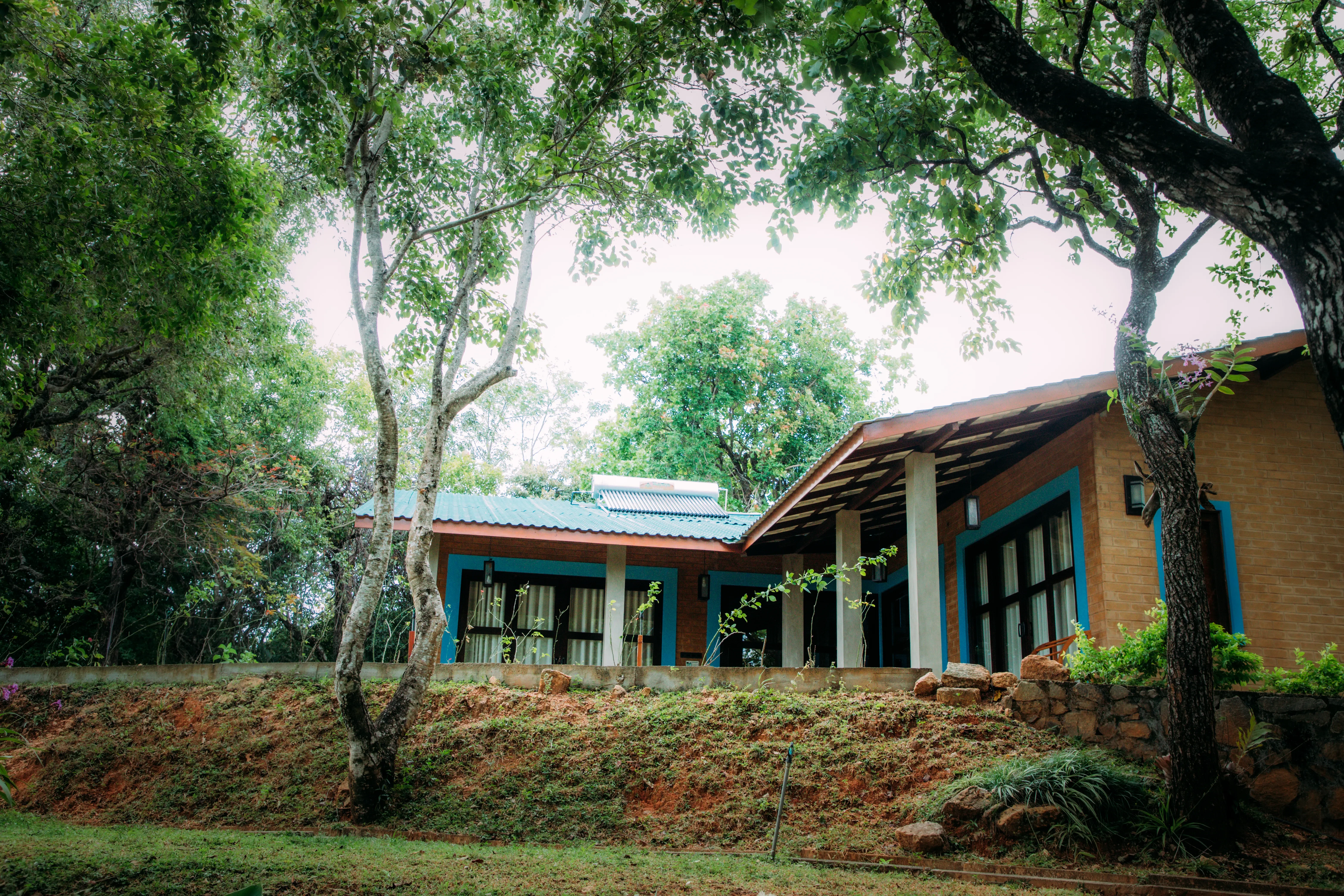 Nature View