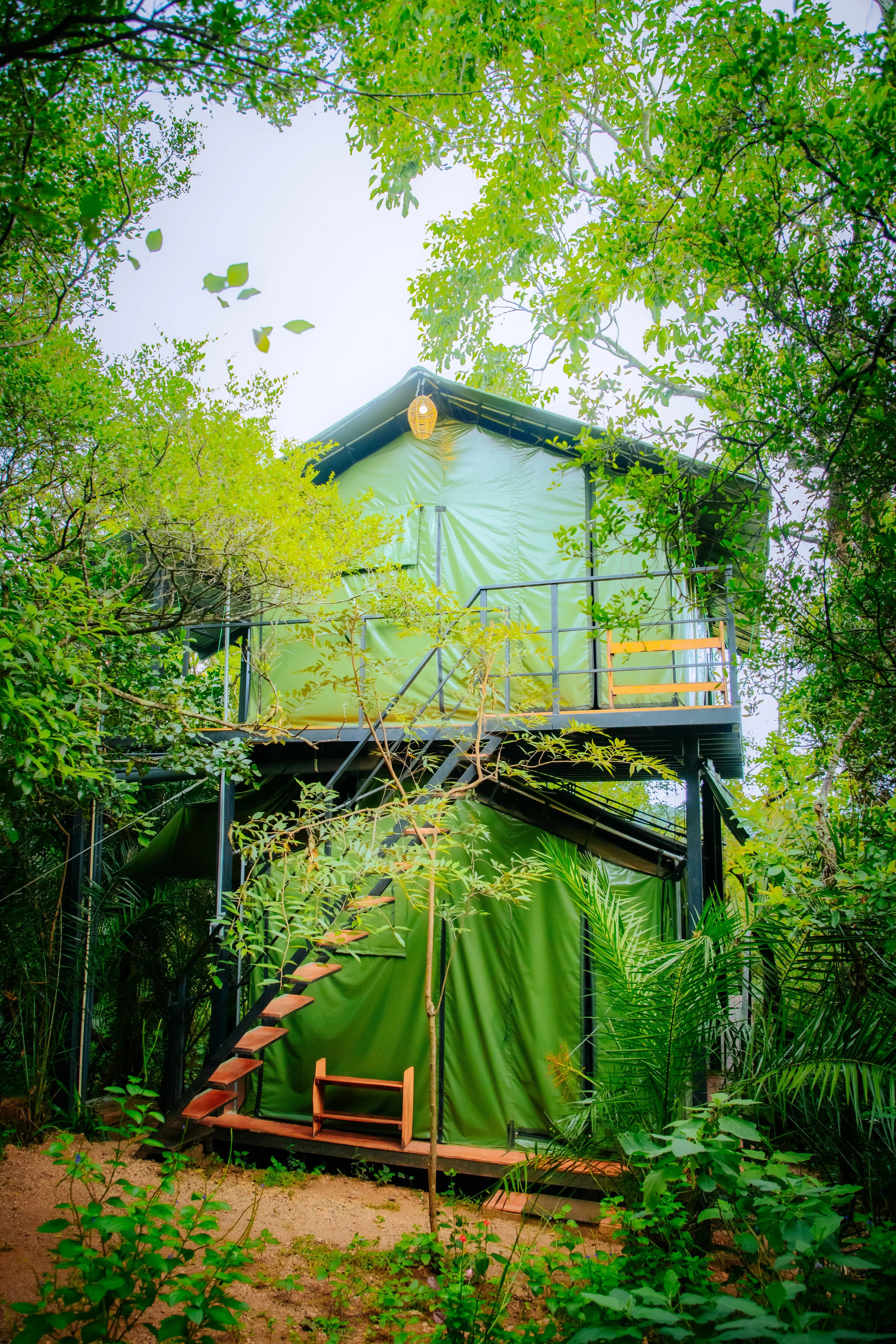 Wild Glamping