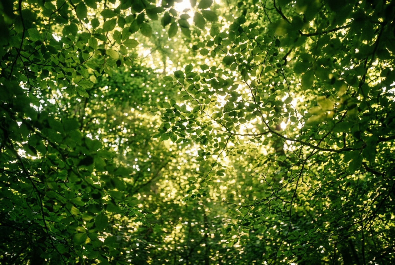 Nature is our greatest luxury.